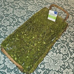 Celebrate It "Tiny Treasures" Decorative Moss Basket